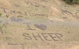 Nz10
