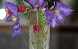NatureMorte